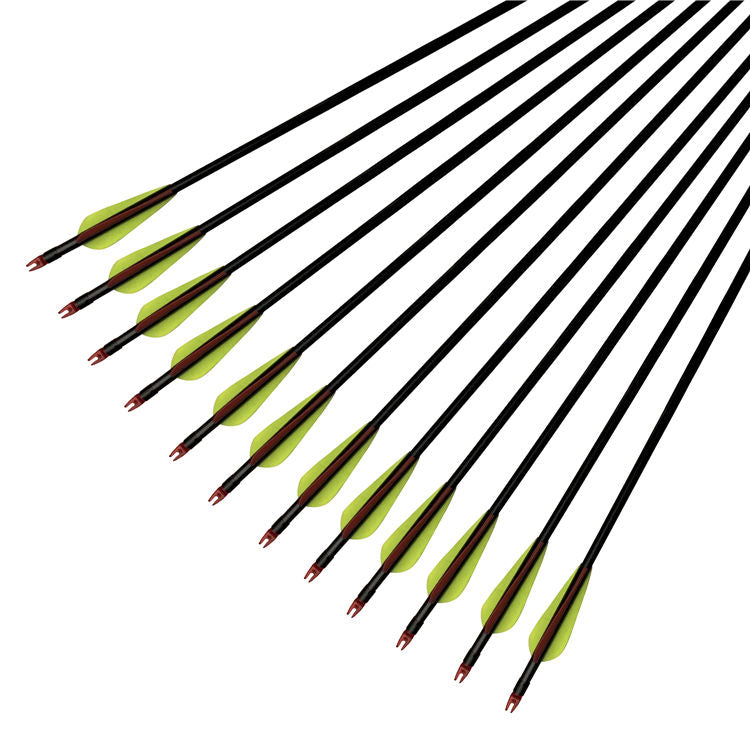 Camp Arrows (1 dozen)